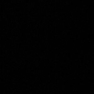 Meet your Posher, Allyce